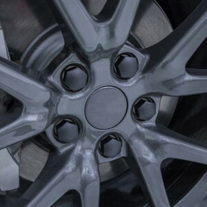 20s[X zC[ ibg Lbv Kp: eX/TESLA f 3 X S zC[ nu Lbv Jo[ O ho zC[ Lbv O ibg Jo[ v[ Lbg Z^[Ȃ AL-MM-4621 AL Exter