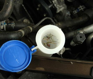 1s[X Kp: tH[h/FORD g[X Xv[ Pg tB^[ XN[ Cp[ KX tB^[ AL-PP-6028 AL Interior parts cars