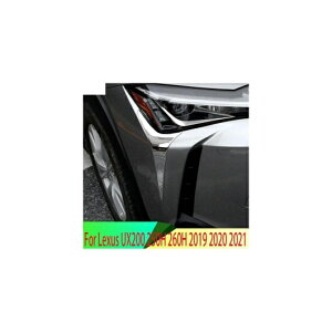 Kp: NTX UX200 250H 260H 2019 2020 2021 ABS N[ tg wbh Cg wbhCg v Jo[ g [fBO t[ AL-QQ-4423 AL Exterior parts for cars