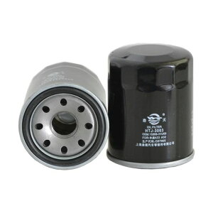 ICtB^[ Kp: CtBjeB/INFINITI QX70/N JX I FC/}c_ 323 F VI BJ/Xo AEgobN/NXWF/[q/LUXGEN S3 15208-31U00 15208-31U01 SR-AA-5166 oil filter