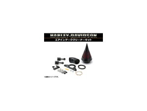 GACe[NN[i[Lbg n[[_rbh\ \teCt@~[ EFIGW iCggC,t@bg{[C,NX{[Y 2001N`2007N 2 Air intake cleaner kit
