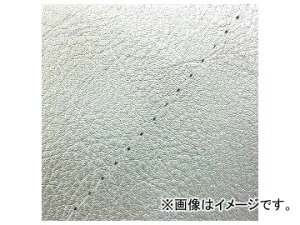 2�� �O�����h�}�� ���Y�V�[�g�J�o�[ �V���o�[/�����X�e�b�`�i���ցj GH5571C540S0 JAN�F4573317775269 �z���_ �n���^�[�J�u(CT110) 110cc Domestic seat cover