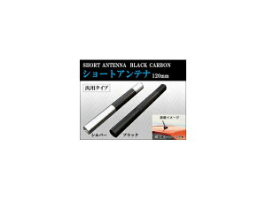 AP V[gAei 120mm Iׂ2J[ AP-ATENA-C Short antenna