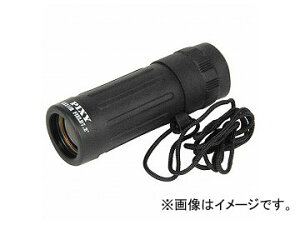 TSK XR[v X-8 JANF4525955100088 site scope