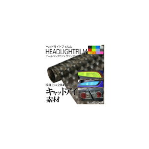 AP wbhCgtB LbgAC^Cv 30×100cm Iׂ12J[ AP-4DFILM-30 Headlight