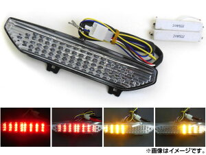 LED�e�[�������v �J���T�L �j���W�� ZX-6R 2007�N�`2008�N �N���A AP-2L001 2�� tail lamp