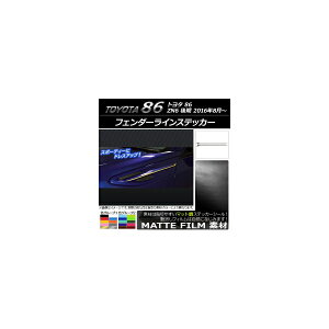 tF_[CXebJ[ g^ 86 ZN6  2016N08` }bg FO[v2 AP-CFMT2207 F1Zbg(2) Fender line sticker