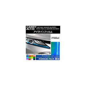 �A�C���C���t�B���� �g���^/�_�C�n�c �J����/�A���e�B�X XV70�n 2017�N07���` �~���[�^�C�v �I�ׂ�12�J���[ AP-YLMI092 �����F1�Z�b�g(2��) Eyeline film