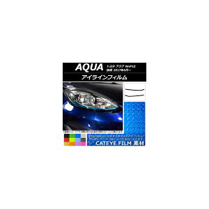 ACCtB g^ ANA NHP10  2017N06` LbgAC^Cv Iׂ12J[ AP-YLCT104 F1Zbg(2) Eyeline film