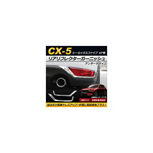 AtN^[K[jbV }c_ CX-5 KFn 2017N02` A_[fUC ABS AP-RF018 F1Zbg(2) Real frame garnish
