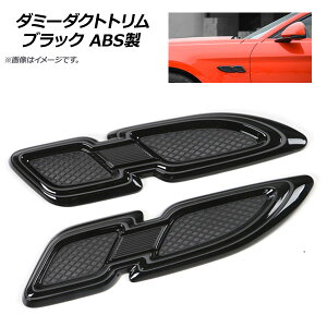 AP _~[_Ngg ubN ABS AP-XT245-BK F1Zbg(E) Dummy ducttrim