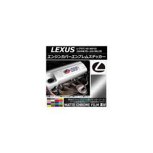 GWJo[GuXebJ[ }bgN[ NTX HS ANF10 2009N07`2017N12 Iׂ20J[ AP-MTCR2654