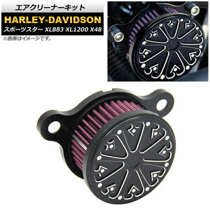 GAN[i[Lbg n[[_rbh\ X|[cX^[ XL883 XL1200 X48 AP-2A004 2 Air cleaner kit