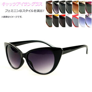 AP LbcACTOX J[Y 炵tF~jȈۂɁ Iׂ14^Cv AP-AR049 Eye Sunglasses