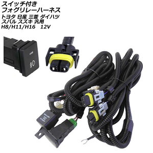 XCb`t tHO[n[lX g^ Y OH _Cnc Xo XYL ėp H8/H11/H16 12V AP-EC314 Foglille Harness with switch