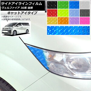 TChACCtB g^ Ft@CA 30n  2018N01` LbgAC^Cv Iׂ12J[ AP-YLCT235 F1Zbg(4) Side eyeline film