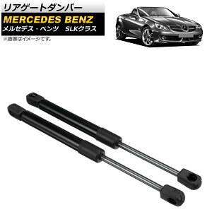 AQ[g_p[ ZfXExc SLKNX R171 2004N09`2010N04 AP-4T109 F1Zbg(2) Rear gate damper