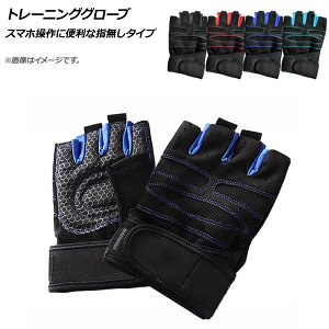 AP g[jOO[u AEghAX}zɕ֗Ȏw^Cv Iׂ4J[ Iׂ3TCY AP-AR293 F1Zbg(E) Training gloves