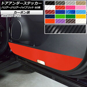 hAA_[XebJ[ g^ nA[/nA[nCubh 60n 2013N12`2020N05 J[{ Iׂ20J[ AP-CF4165 F1Zbg(4) Door unders sticker