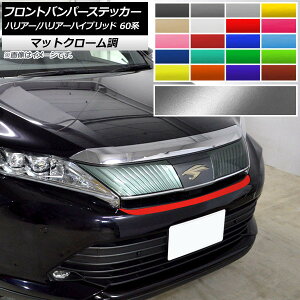 tgop[XebJ[ g^ nA[/nA[nCubh 60n G's,GRX|[cs }bgN[ Iׂ20J[ AP-MTCR4178 Front bumper sticker