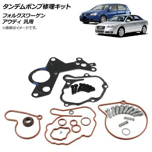 AP �^���f���|���v�C���L�b�g �t�H���N�X���[�Q��/�A�E�f�B �ėp AP-4T194 Tandem pump repair kit