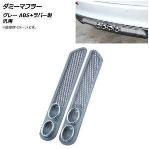 AP _~[}t[ O[ ABS+o[ ėp AP-XT550-GY F1Zbg(E) Dummy muffler