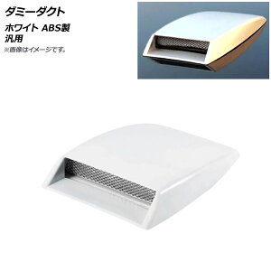 AP _~[_Ng zCg ABS ėp AP-XT551-WH Dummy duct