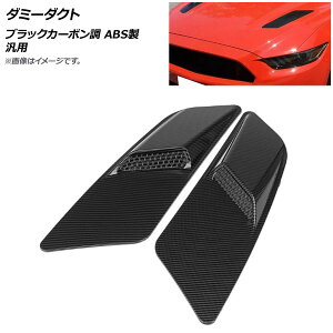 AP _~[_Ng ubNJ[{ ABS ėp AP-XT555-BKC F1Zbg(E) Dummy duct