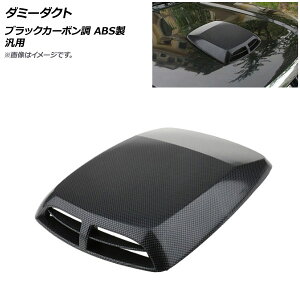 AP _~[_Ng ubNJ[{ ABS ėp AP-XT556-BKC Dummy duct