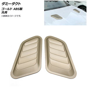 AP _~[_Ng S[h ABS ėp AP-XT557-GD F1Zbg(E) Dummy duct