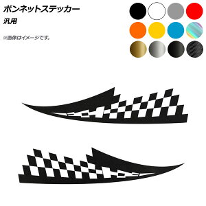 AP {lbgXebJ[ ėp Iׂ12J[ AP-XT573 F1Zbg(2) Bonnet sticker