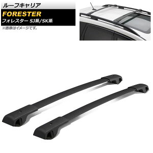 [tLA Xo tHX^[ SJn/SKn 2012N11` A~ AP-XT697 F1Zbg(2) Roof carrier