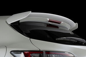 ubc/BLITZ GAXs[hRRZvg AX|C[ g^ GRJ[ GZEA14H G16E-GTS 2018N06` h Rear spoiler
