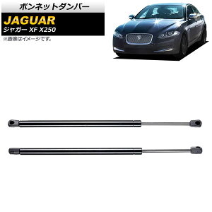 �{���l�b�g�_���p�[ �W���K�[ XF X250 2007�N�`2015�N �u���b�N AP-4T779 �����F1�Z�b�g(2��) Bonnet damper