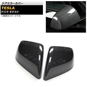 hA~[Jo[ eX fY 2020N` ubNJ[{ L ABS AP-DM251-COL2 F1Zbg(E) Door mirror cover