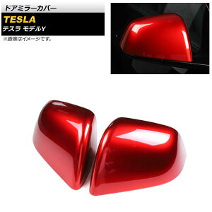 hA~[Jo[ eX fY 2020N` bh ABS AP-DM251-COL5 F1Zbg(E) Door mirror cover