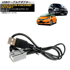 USBP[uA_v^[ z_ VrbN FN 2008N`2013N F100cm USB2.0 cable adapter