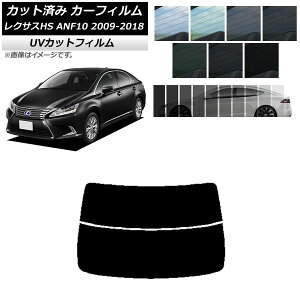 J[tB NTX HS ANF10 2009N07`2018N03 AKX() SK UV Iׂ13tBJ[ AP-WFSK0065-R2 Car film