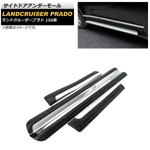 TChhAA_[[ g^ hN[U[vh 150n 2009N09` ubN ABS AP-DG049-BK F1Zbg(4) Side door Ander mall