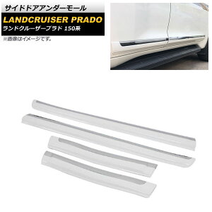 TChhAA_[[ g^ hN[U[vh 150n 2009N09` zCg ABS AP-DG049-WH F1Zbg(4) Side door Ander mall