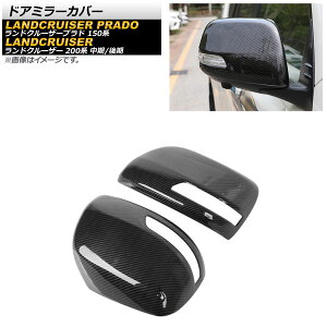 hA~[Jo[ g^ hN[U[ 200n / 2012N01`2021N07 ubNJ[{ ABS F1Zbg(E) Door mirror cover