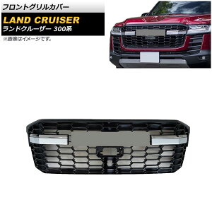 tgOJo[ g^ hN[U[ 300n 2021N08` ABS Jz[ AP-FG460 Front grill cover