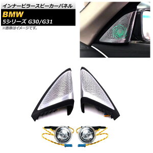 �C���i�[�s���[�X�s�[�J�[�p�l�� BMW 5�V���[�Y G30/G31 �A���r�G���g���C�g���ڎԗp 2017�N02���` �V���o�[ �c�C�[�^�[�t�� AP-IT1811 Inner pillar speaker panel