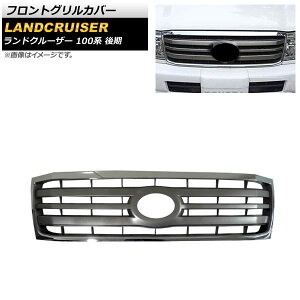 tgOJo[ g^ hN[U[ 100n  2005N04`2007N08 Vo[ ABS AP-FG513-SI Front grill cover