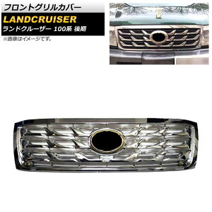 tgOJo[ g^ hN[U[ 100n  2005N04`2007N08 Vo[×S[h ABS AP-FG514-SIGD Front grill cover