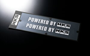 HKS �X�e�b�J�[ POWERED BY HKS �z���C�g 200×24 51003-AK132 �����F2��