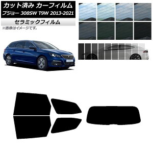 �J�[�t�B���� �v�W���[ 308 T9W �X�e�[�V�������S�� 2014�N�`2021�N ���A�Z�b�g(1���^) IR UV �f�M �I�ׂ�13�t�B�����J���[ AP-WFIR0357-RDR1 Car film