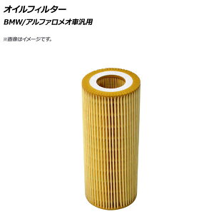AP ICtB^[ BMW/At@IԔėp APIOF0016 oil filter