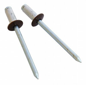 V@ SK J[uChxbg  (5-3) SK-529DB F1Zbg(20{) Color blind tribet