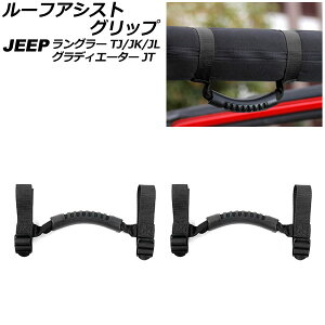 [tAVXgObv W[v OfBG[^[ JT 2021N11` ubN IbNXtH[hf/ABS F1Zbg(2) Roof Ast grip